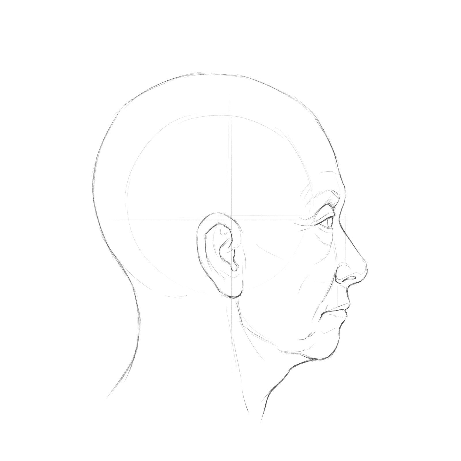 Head rotation volume 2 at 90 degrees