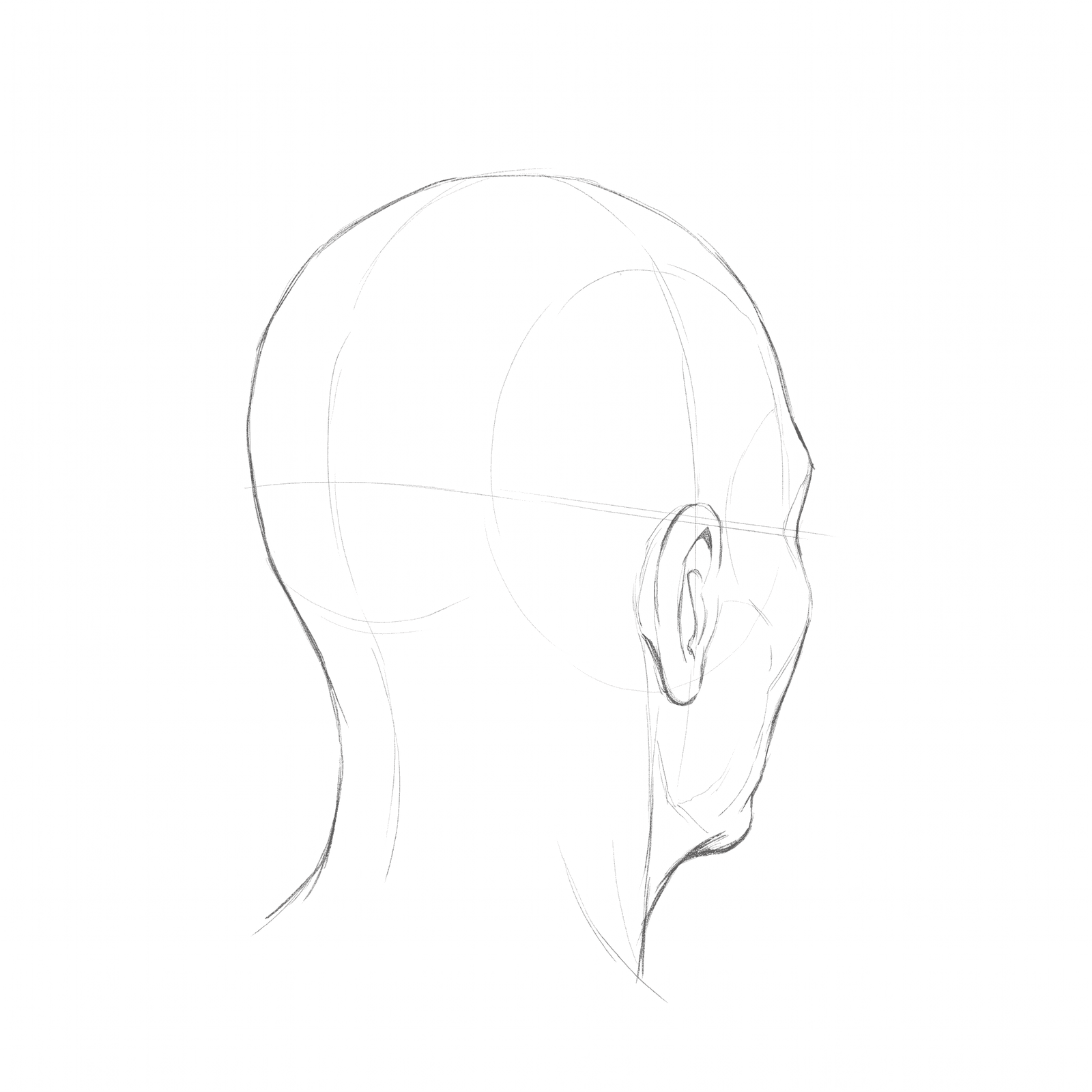 Head rotation volume 2 at 135 degrees