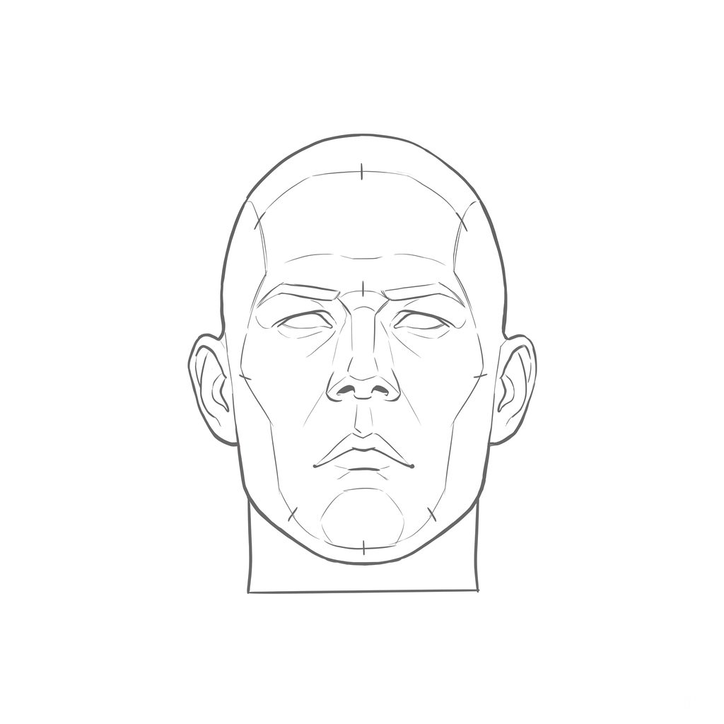 Head rotation reference, Hard plane, 0 degrees front view, line drawing