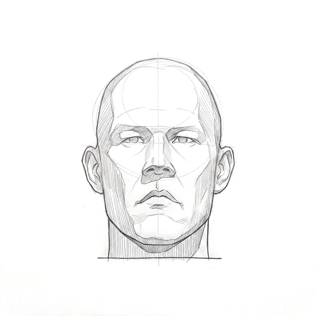Head rotation reference, Hard plane, 0 degrees front view, tonal drawing