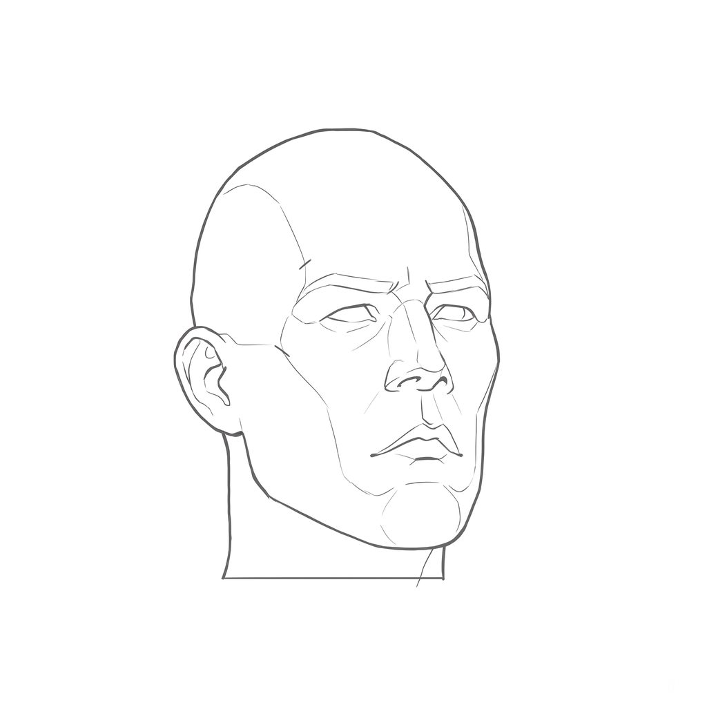 Head rotation reference, Hard plane, 22.5 degrees slight three-quarter view, line drawing