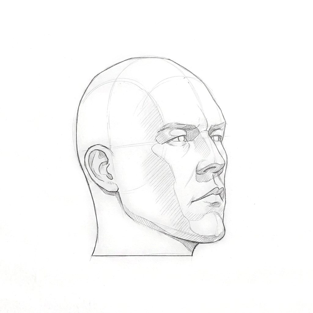 Head rotation reference, Hard plane, 45 degrees three-quarter view, tonal drawing