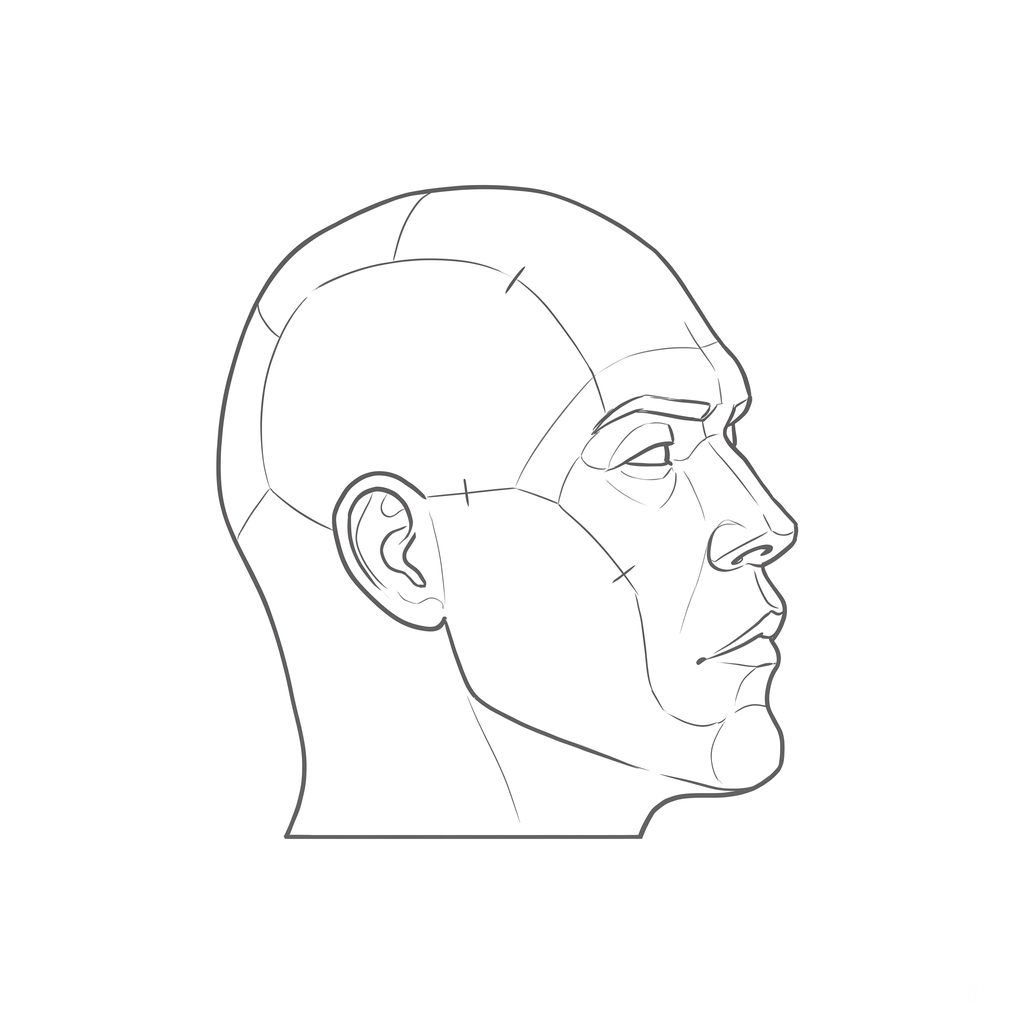 Head rotation reference, Hard plane, 67.5 degrees near-profile view, line drawing