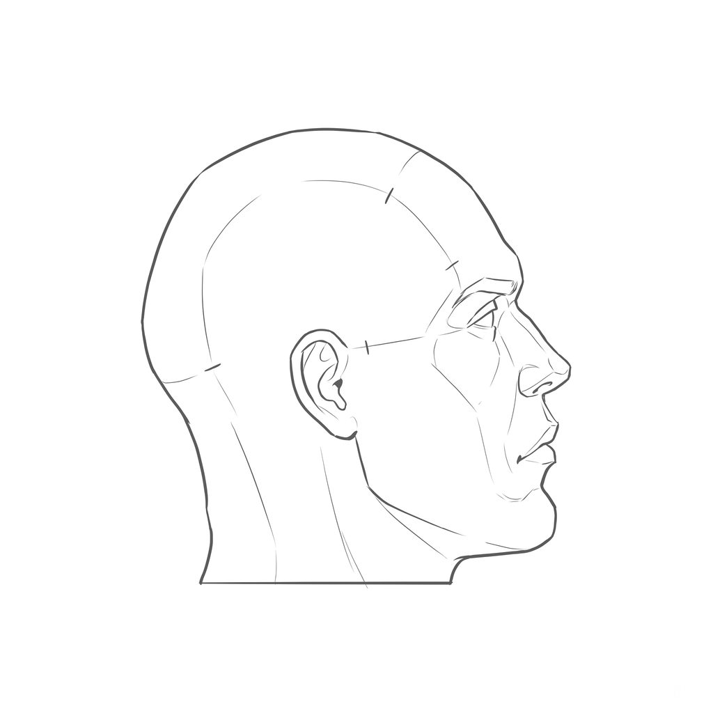 Head rotation reference, Hard plane, 90 degrees profile, line drawing