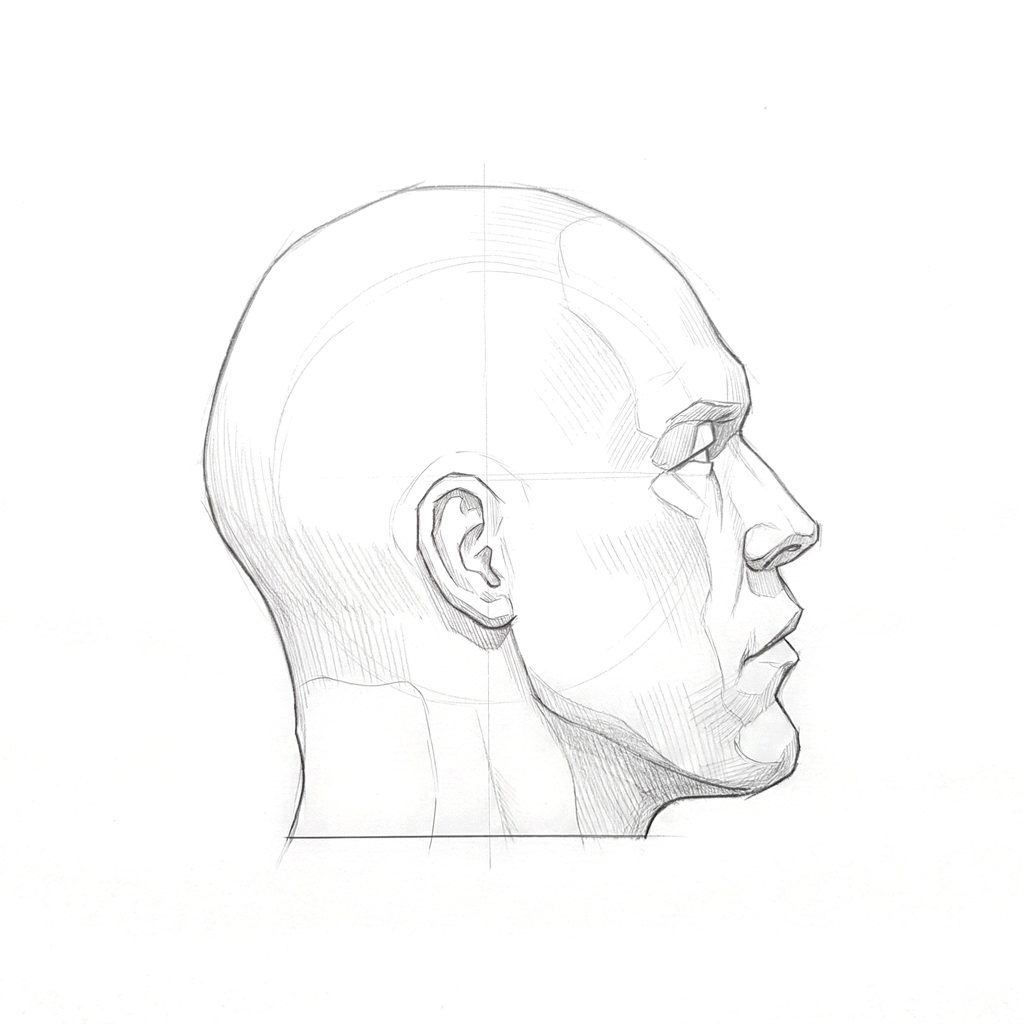 Head rotation reference, Hard plane, 90 degrees profile, tonal drawing