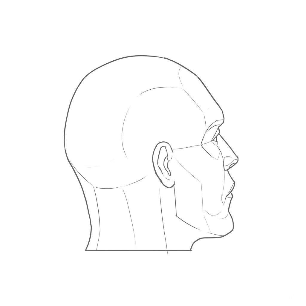 Head rotation reference, Hard plane, 112.5 degrees just behind profile, line drawing