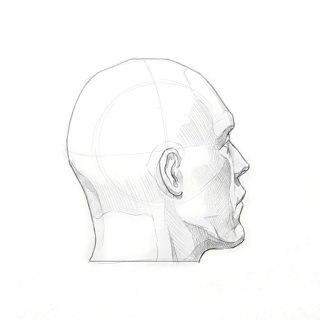 Head rotation reference, Hard plane, 112.5 degrees just behind profile, tonal drawing