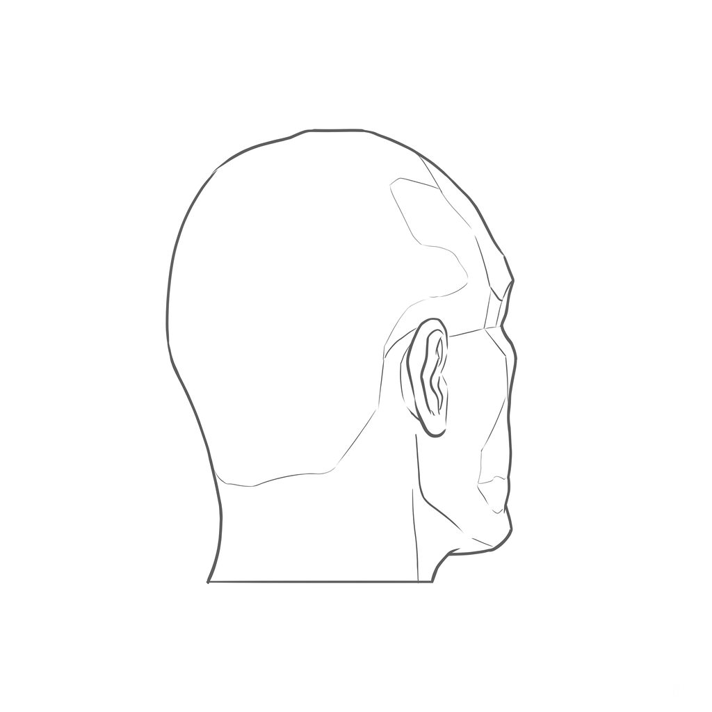 Head rotation reference, Hard plane, 135 degrees rear three-quarter, line drawing