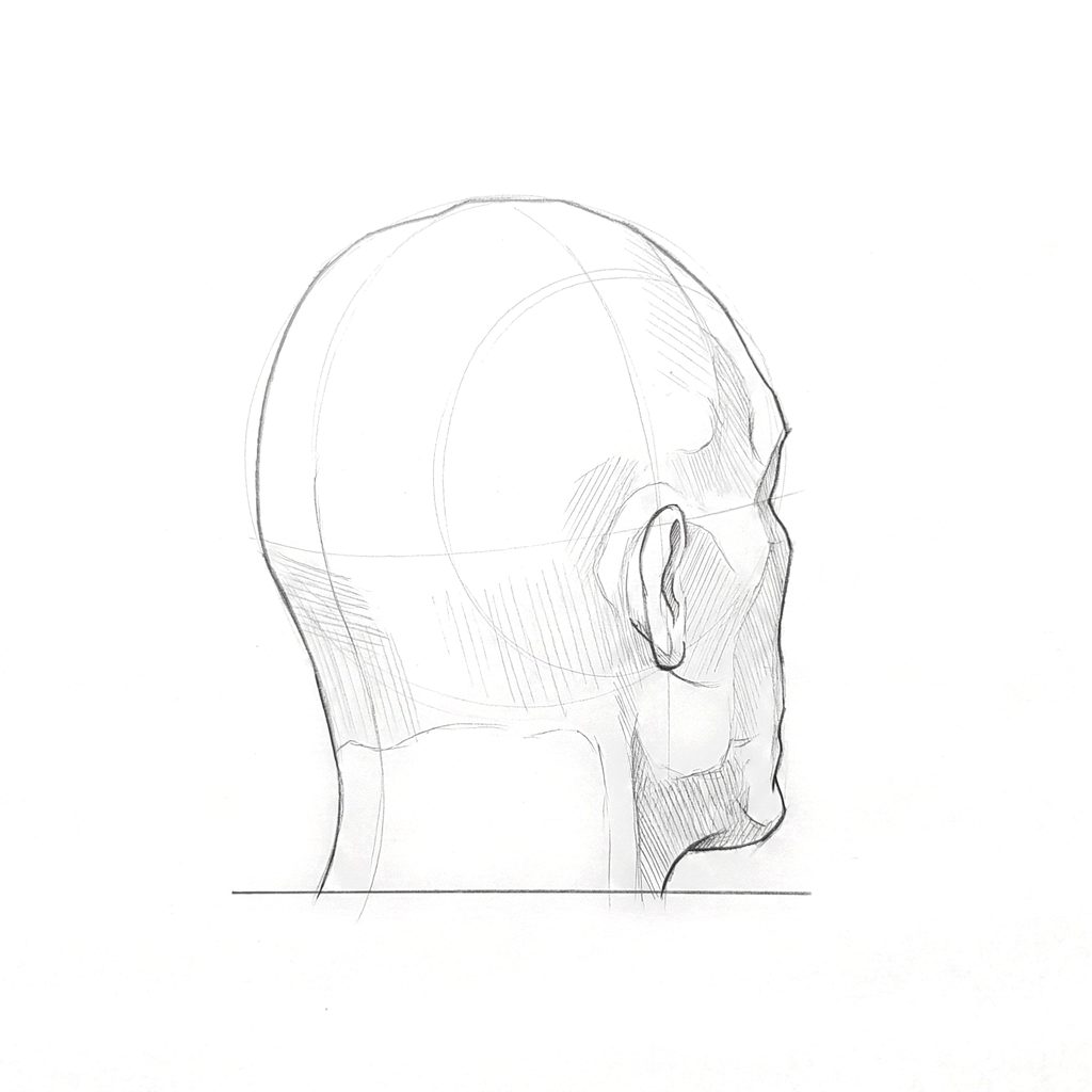 Head rotation reference, Hard plane, 135 degrees rear three-quarter, tonal drawing