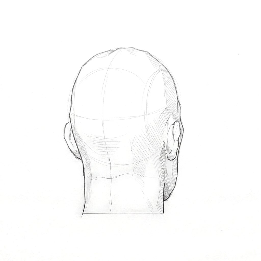 Head rotation reference, Hard plane, 157.5 degrees near-back view, tonal drawing