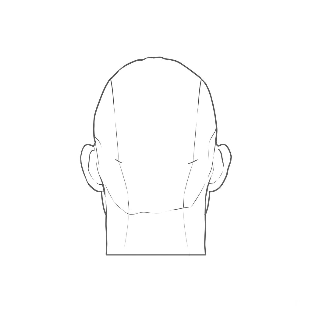 Head rotation reference, Hard plane, 180 degrees back view, line drawing