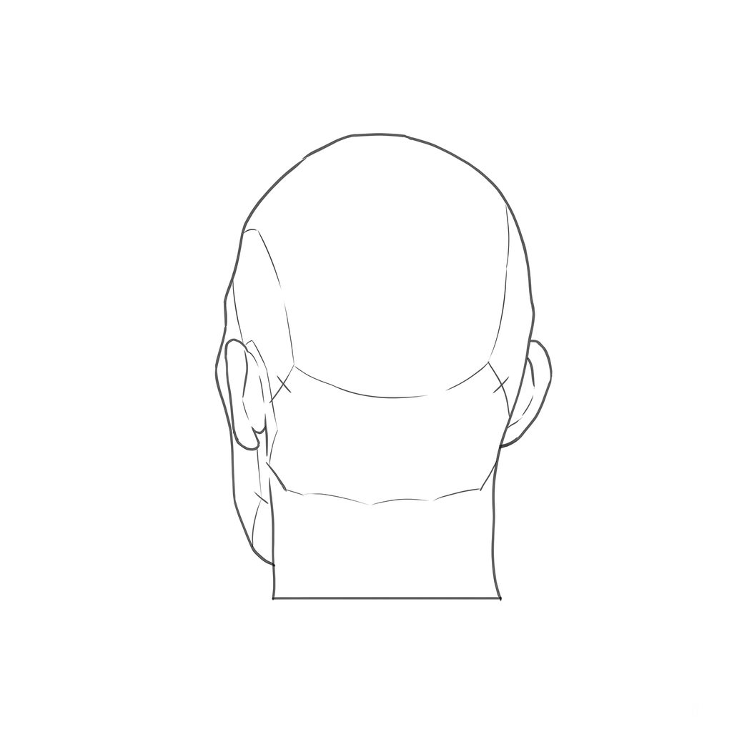 Head rotation reference, Hard plane, 202.5 degrees near-back view, line drawing