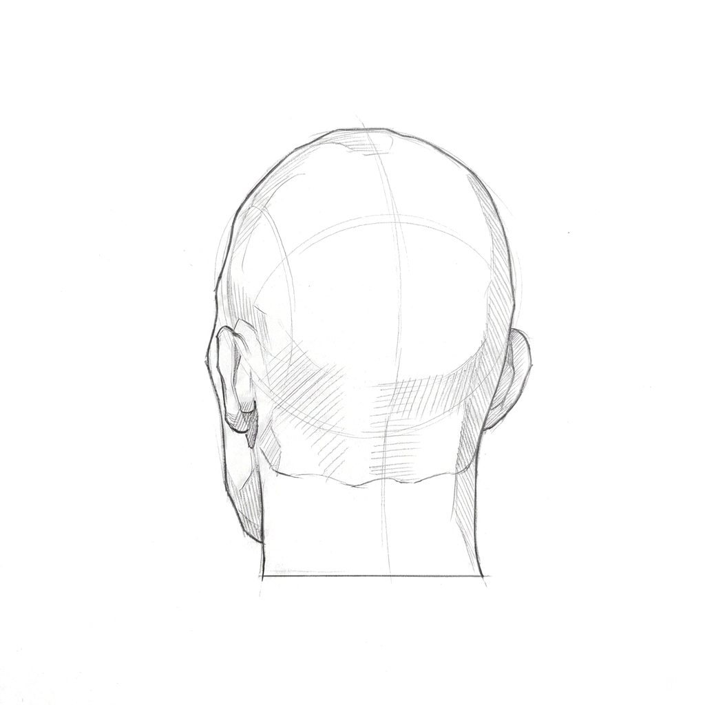 Head rotation reference, Hard plane, 202.5 degrees near-back view, tonal drawing