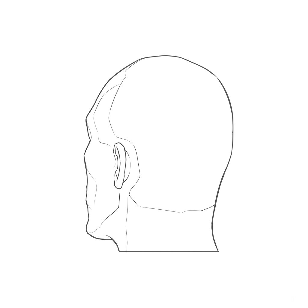 Head rotation reference, Hard plane, 225 degrees rear three-quarter, line drawing