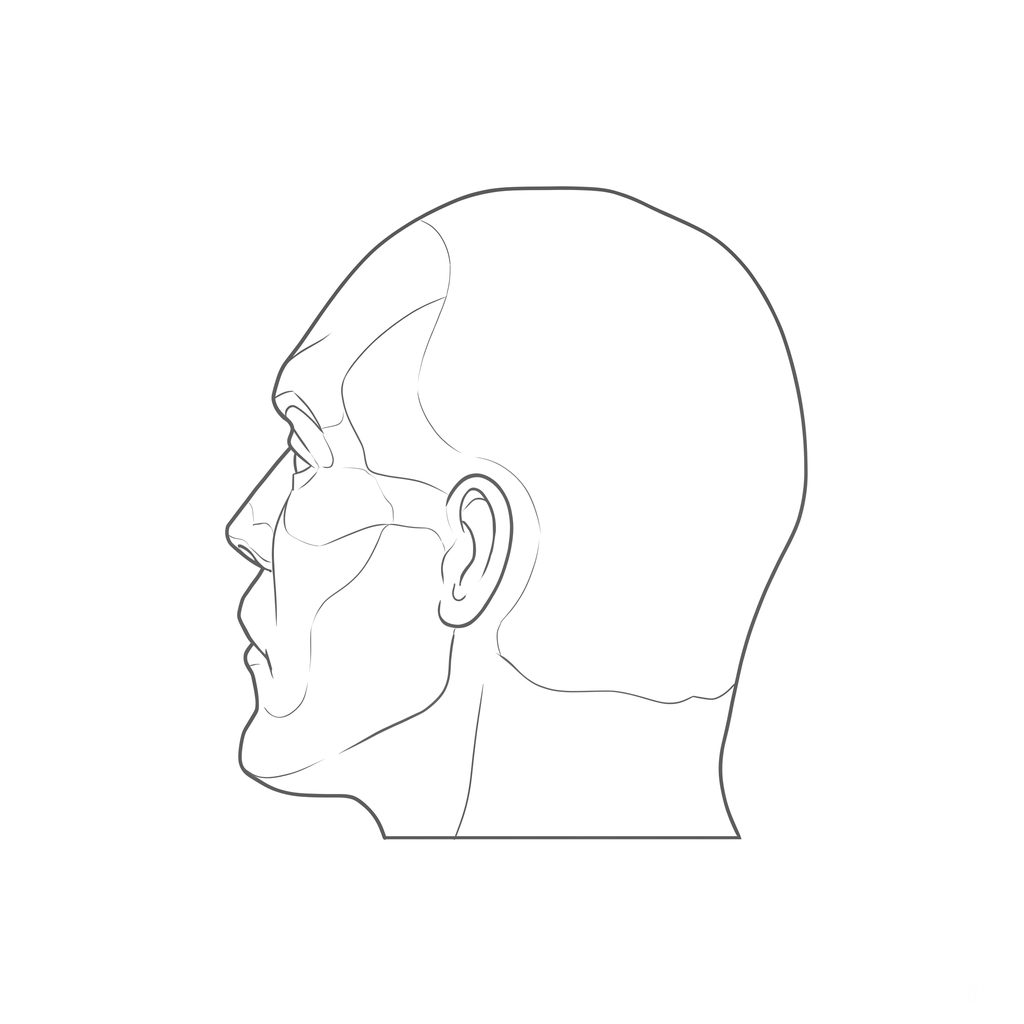 Head rotation reference, Hard plane, 247.5 degrees just behind profile, line drawing