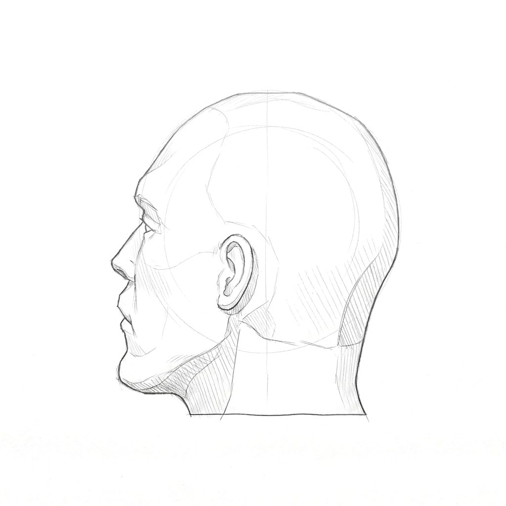 Head rotation reference, Hard plane, 247.5 degrees just behind profile, tonal drawing