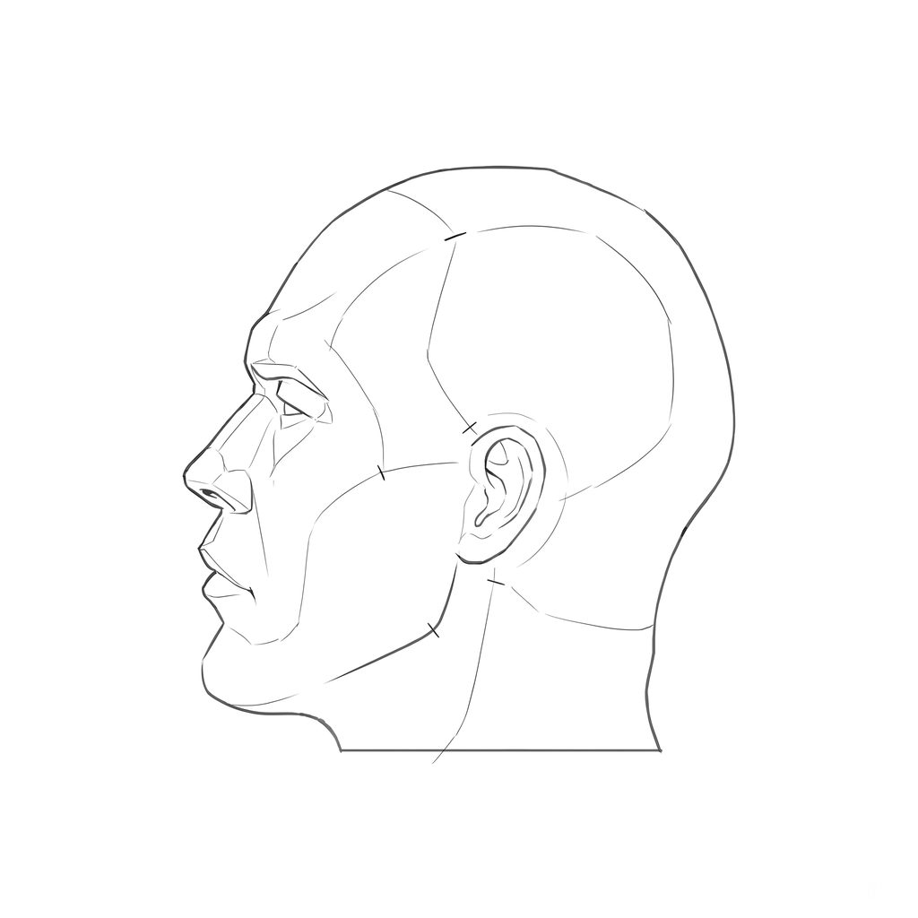 Head rotation reference, Hard plane, 270 degrees profile, line drawing