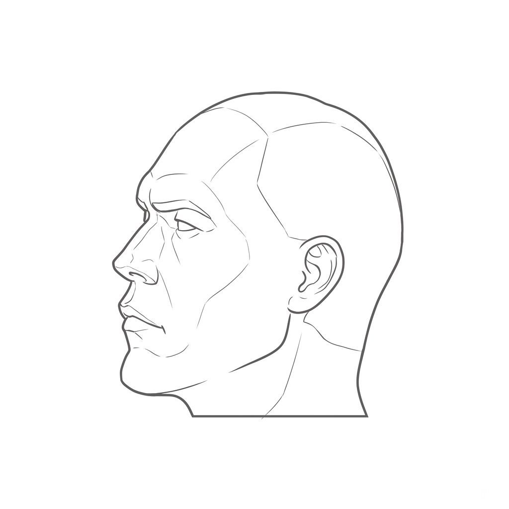 Head rotation reference, Hard plane, 292.5 degrees near-profile view, line drawing