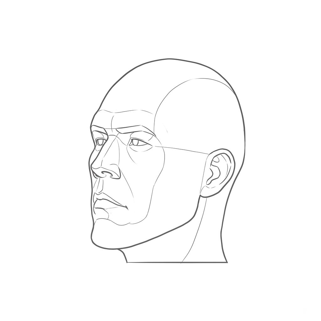 Head rotation reference, Hard plane, 315 degrees three-quarter view, line drawing