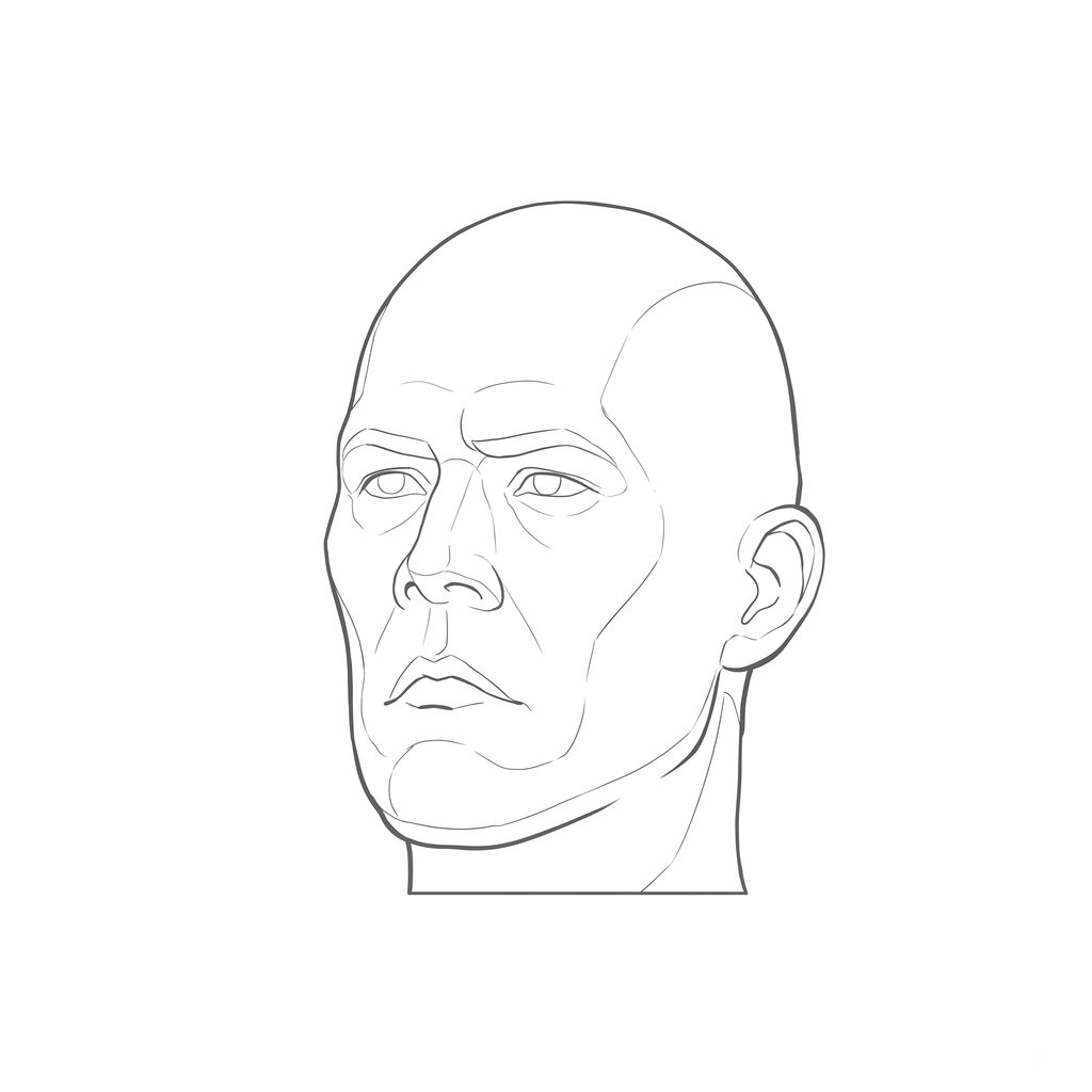 Head rotation reference, Hard plane, 337.5 degrees slight three-quarter view, line drawing