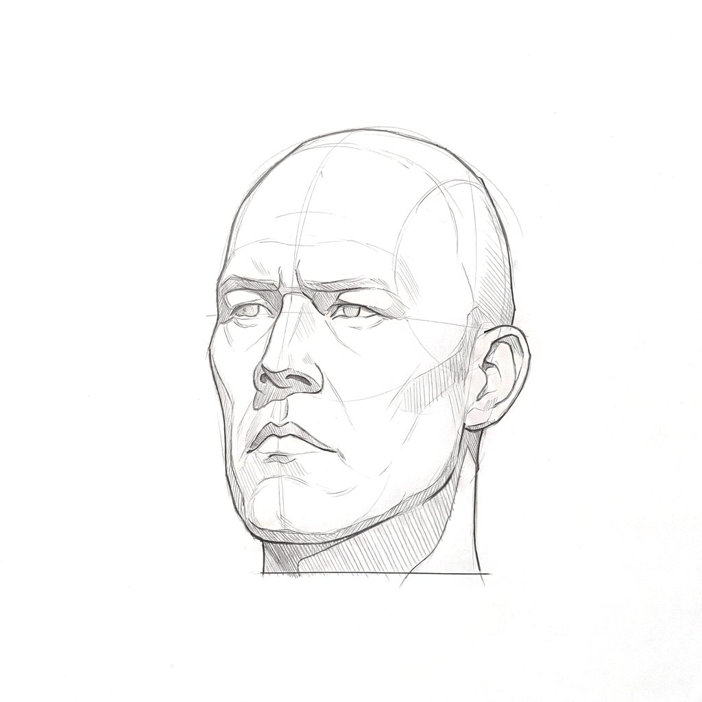 Head rotation reference, Hard plane, 337.5 degrees slight three-quarter view, tonal drawing