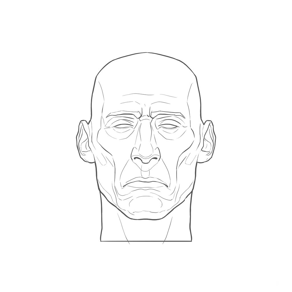 Head rotation reference, Gaunt planes, 0 degrees front view, line drawing