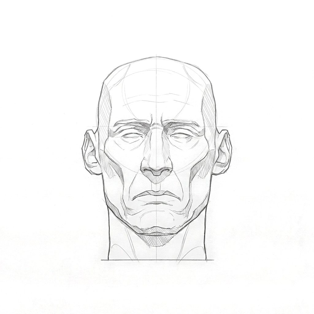 Head rotation reference, Gaunt planes, 0 degrees front view, tonal drawing
