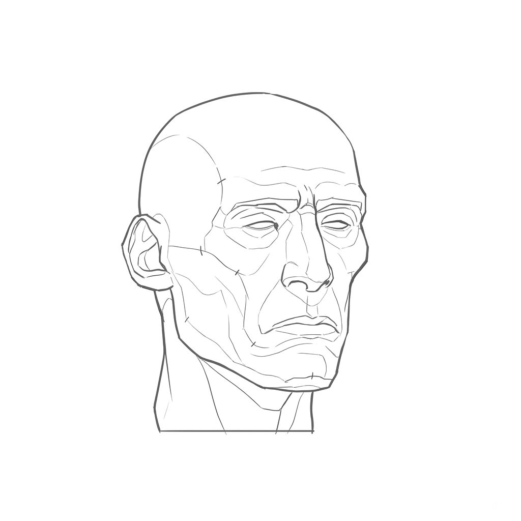 Head rotation reference, Gaunt planes, 22.5 degrees slight three-quarter view, line drawing