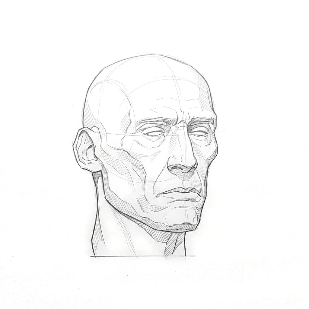 Head rotation reference, Gaunt planes, 22.5 degrees slight three-quarter view, tonal drawing