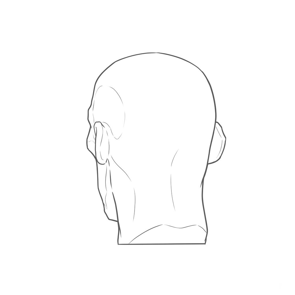 Head rotation reference, Gaunt planes, 202.5 degrees near-back view, line drawing