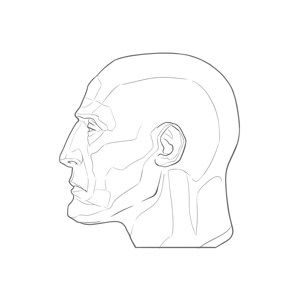Head rotation reference, Gaunt planes, 270 degrees profile, line drawing