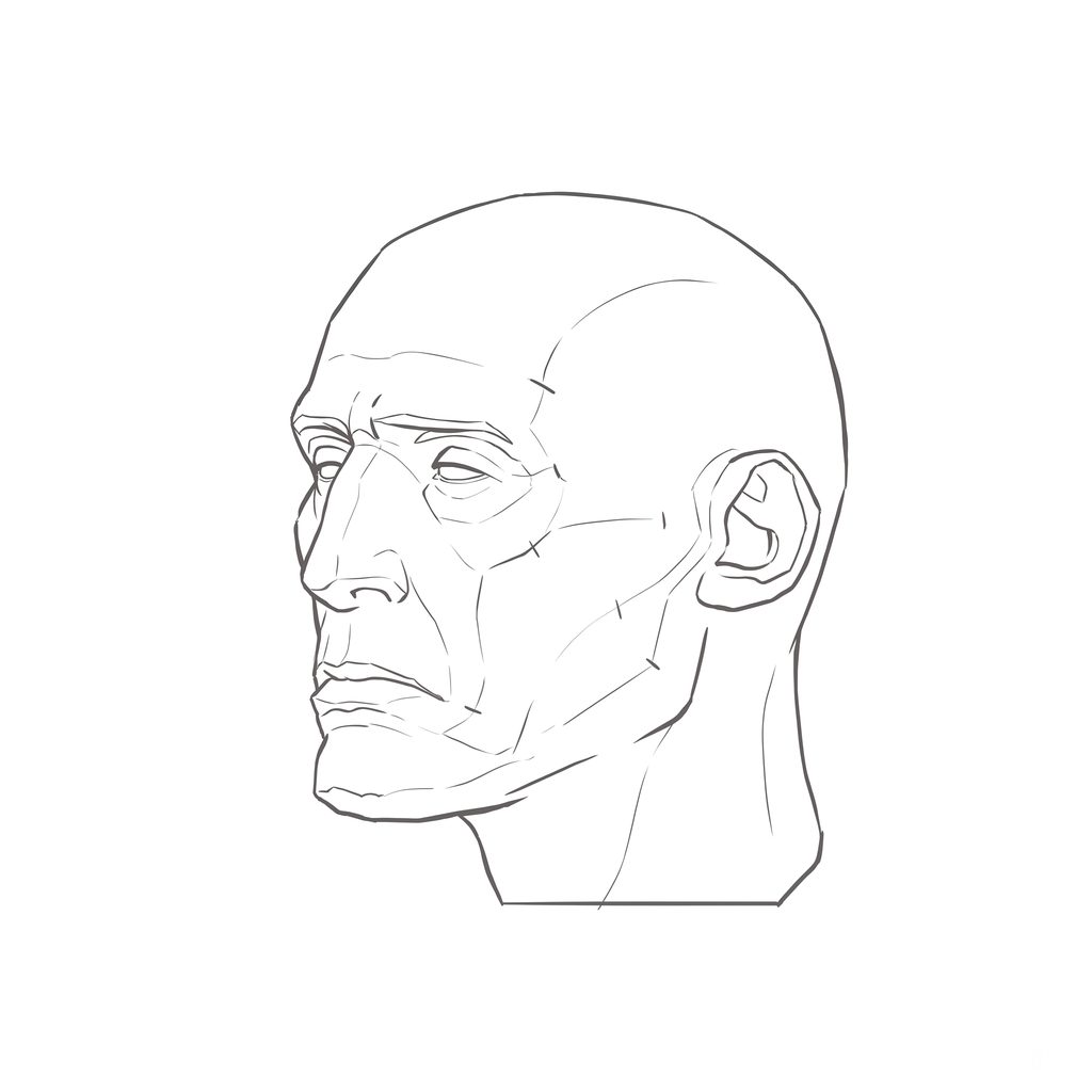Head rotation reference, Gaunt planes, 315 degrees three-quarter view, line drawing