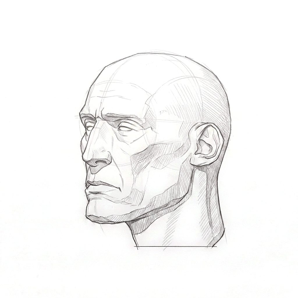 Head rotation reference, Gaunt planes, 315 degrees three-quarter view, tonal drawing