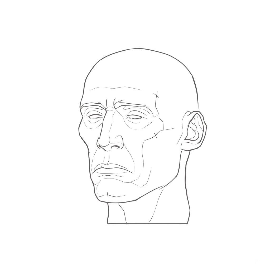 Head rotation reference, Gaunt planes, 337.5 degrees slight three-quarter view, line drawing