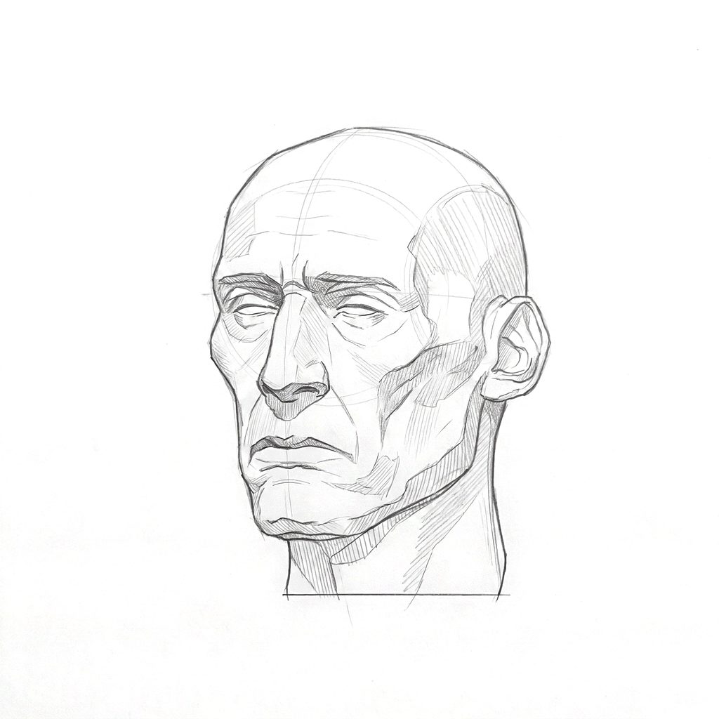 Head rotation reference, Gaunt planes, 337.5 degrees slight three-quarter view, tonal drawing