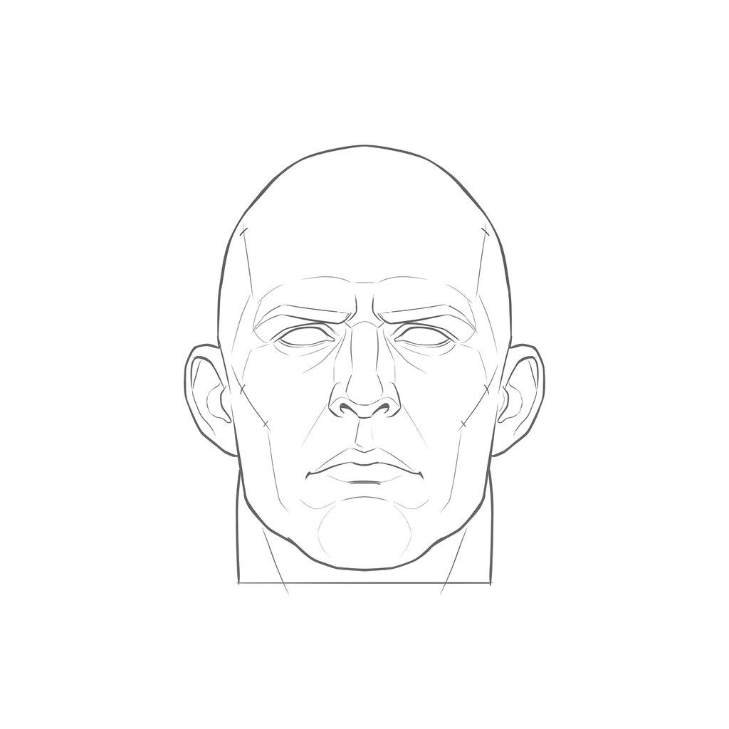 Head rotation reference, Heavy jaw, 0 degrees front view, line drawing