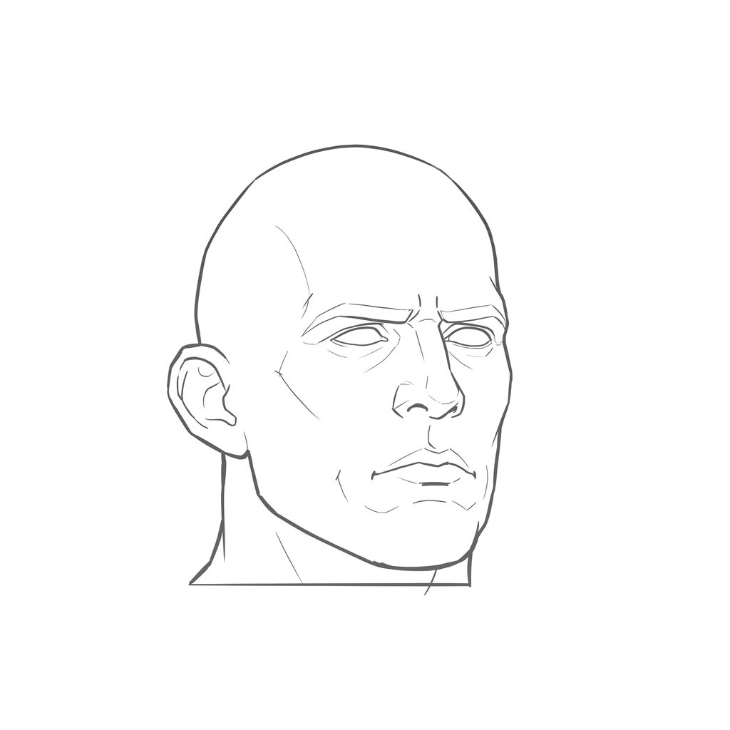 Head rotation reference, Heavy jaw, 22.5 degrees slight three-quarter view, line drawing