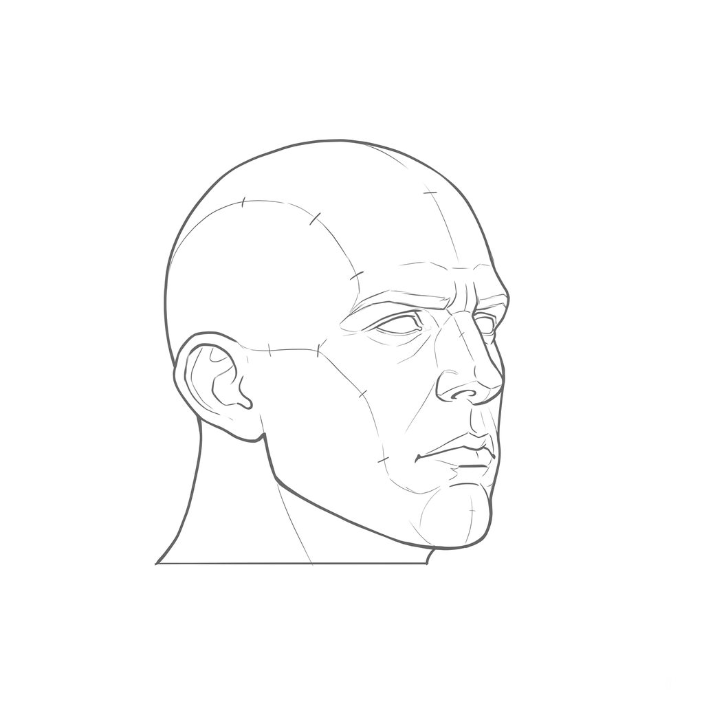 Head rotation reference, Heavy jaw, 45 degrees three-quarter view, line drawing