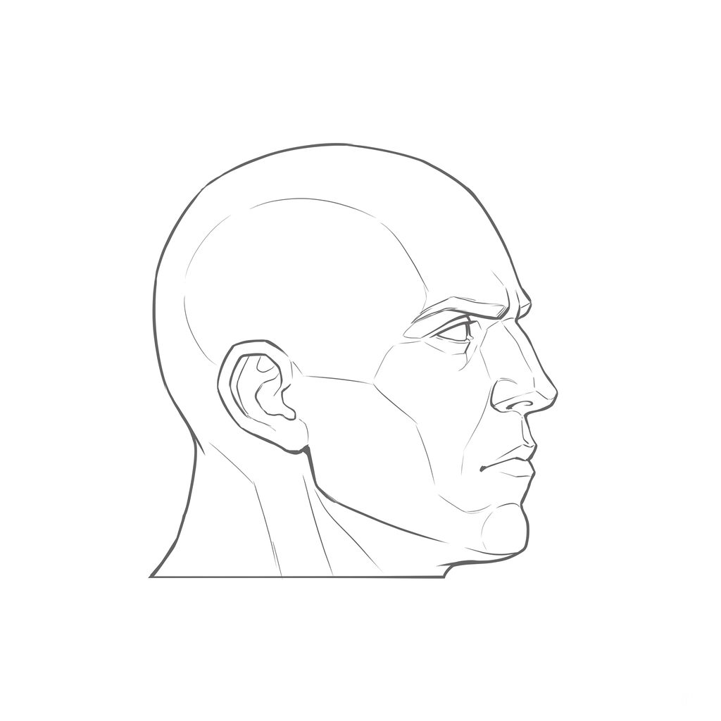 Head rotation reference, Heavy jaw, 67.5 degrees near-profile view, line drawing