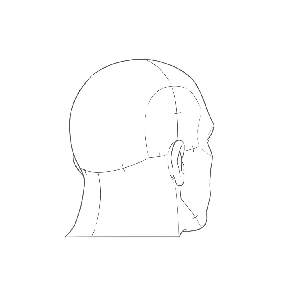 Head rotation reference, Heavy jaw, 135 degrees rear three-quarter, line drawing