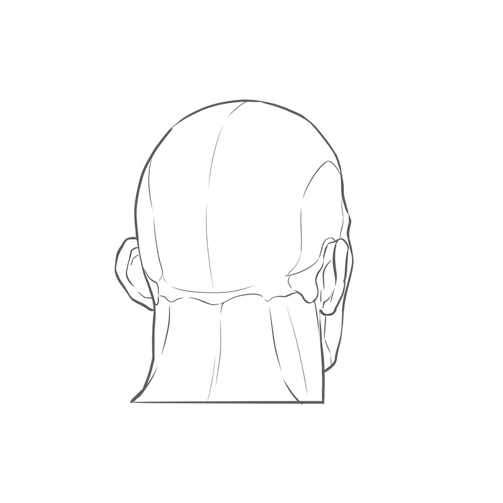 Head rotation reference, Heavy jaw, 157.5 degrees near-back view, line drawing