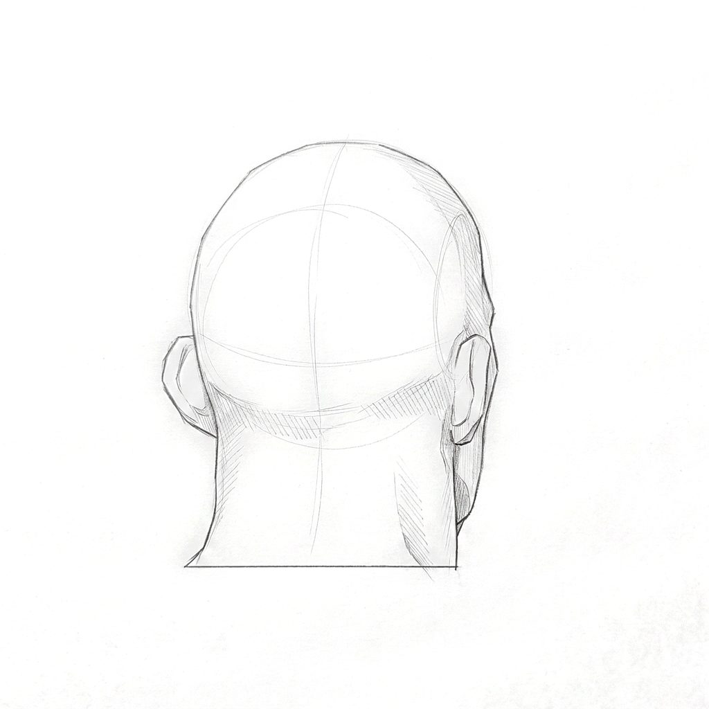 Head rotation reference, Heavy jaw, 157.5 degrees near-back view, tonal drawing