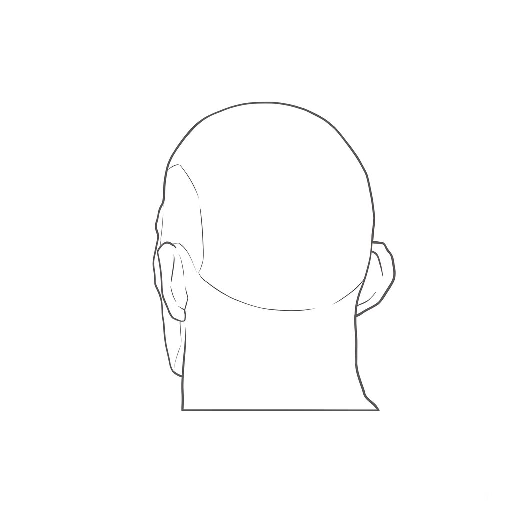 Head rotation reference, Heavy jaw, 202.5 degrees near-back view, line drawing