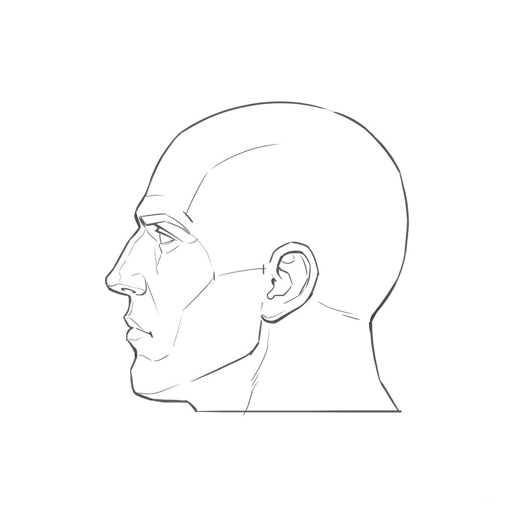 Head rotation reference, Heavy jaw, 270 degrees profile, line drawing