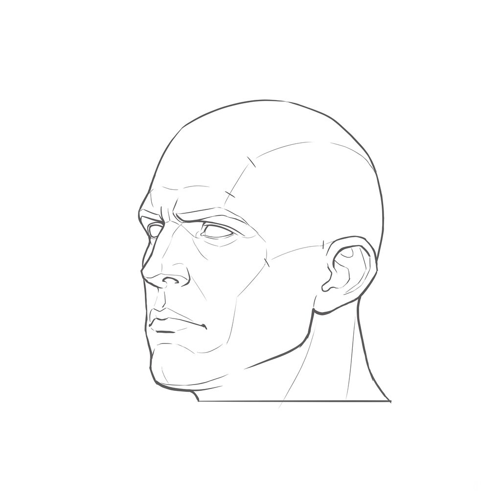 Head rotation reference, Heavy jaw, 315 degrees three-quarter view, line drawing