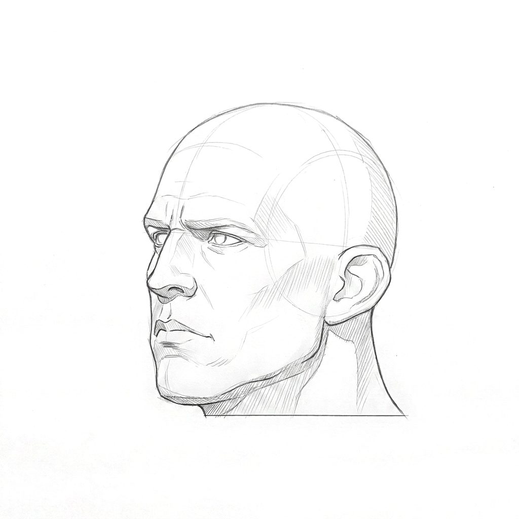 Head rotation reference, Heavy jaw, 315 degrees three-quarter view, tonal drawing