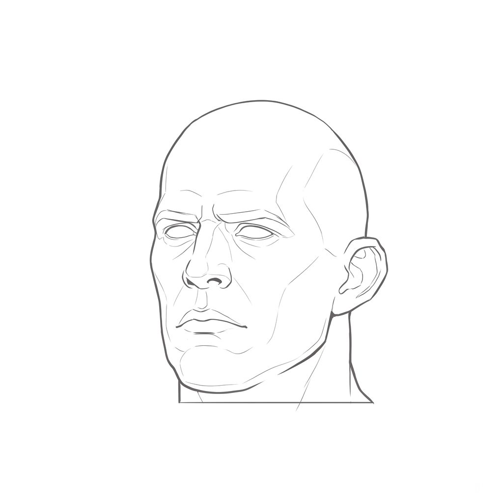 Head rotation reference, Heavy jaw, 337.5 degrees slight three-quarter view, line drawing