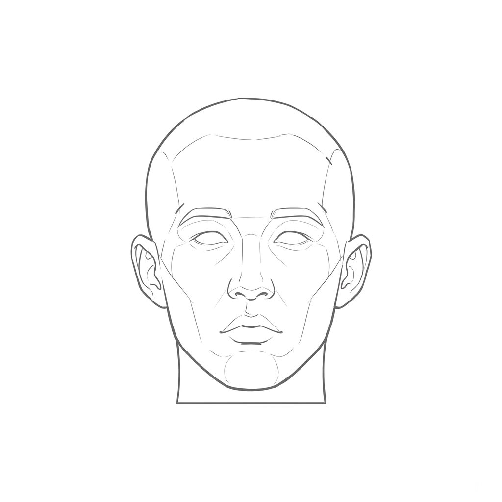 Head rotation reference, Minimal head, 0 degrees front view, line drawing