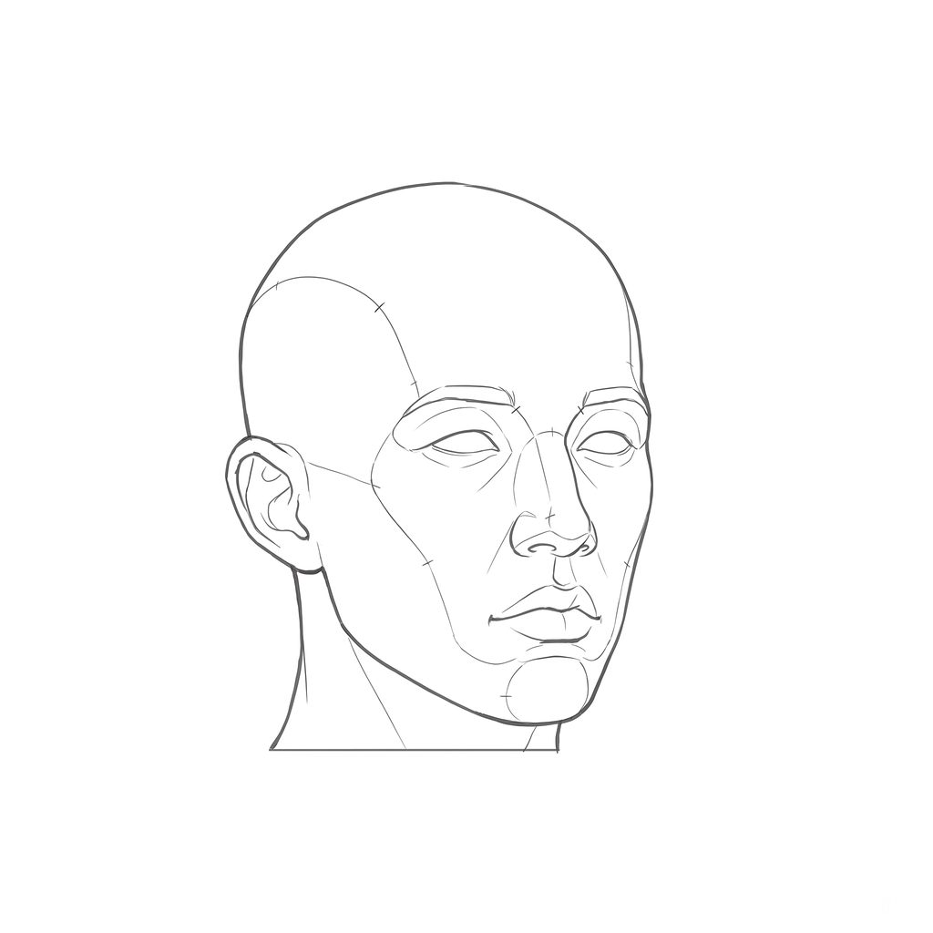 Head rotation reference, Minimal head, 22.5 degrees slight three-quarter view, line drawing