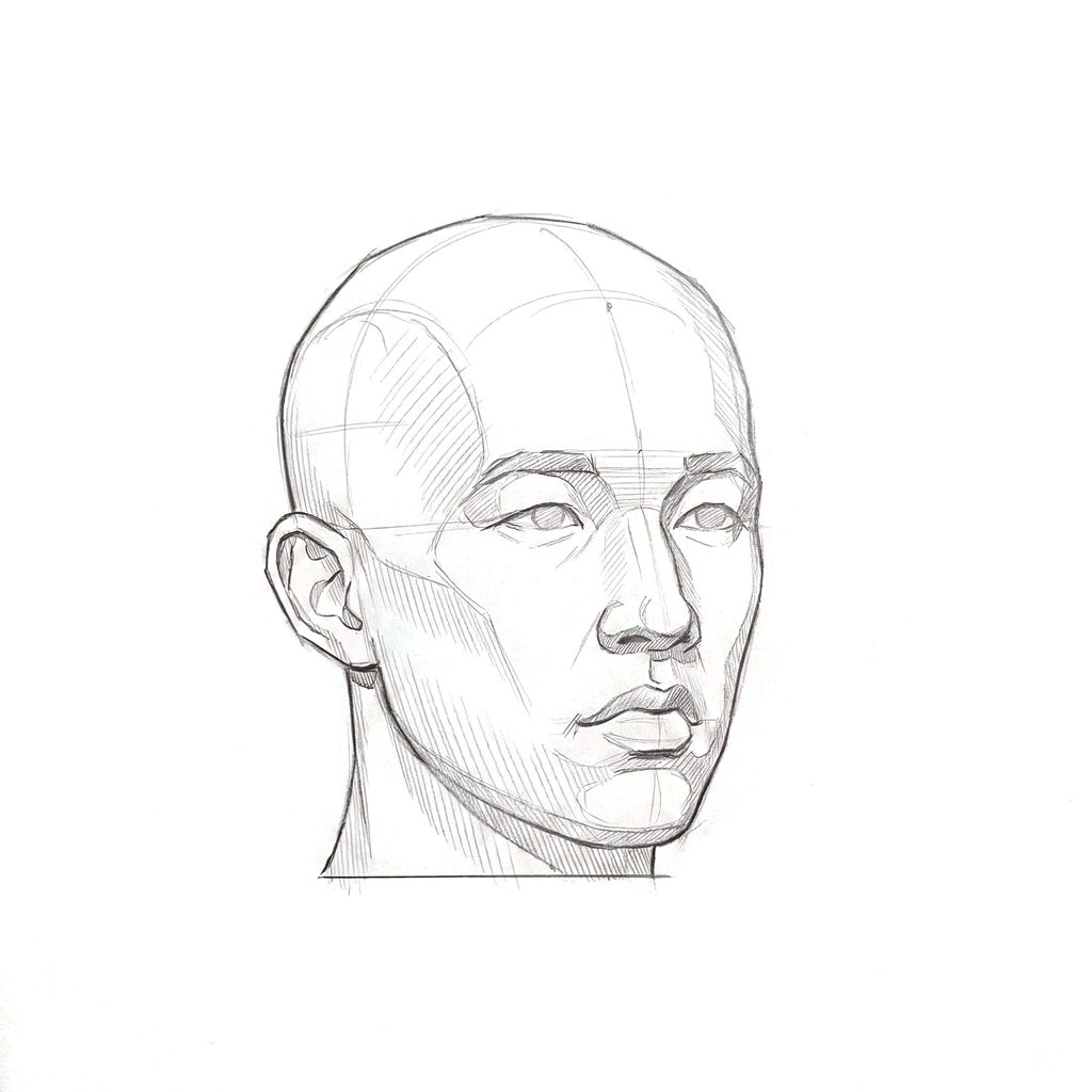 Head rotation reference, Minimal head, 22.5 degrees slight three-quarter view, tonal drawing